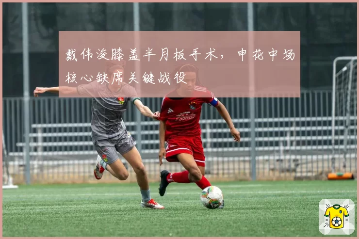 戴伟浚膝盖半月板手术，申花中场核心缺席关键战役