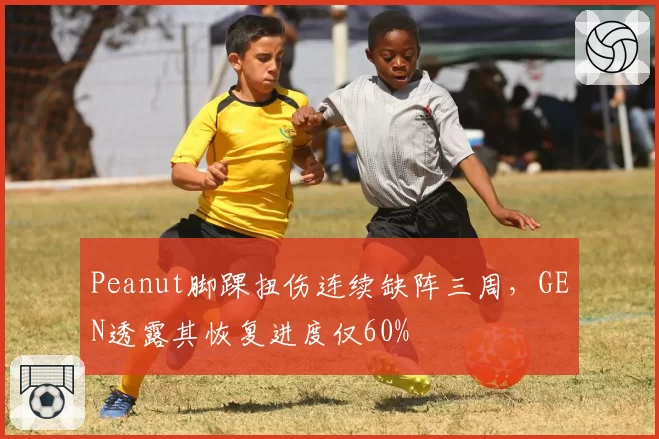 Peanut脚踝扭伤连续缺阵三周，GEN透露其恢复进度仅60%