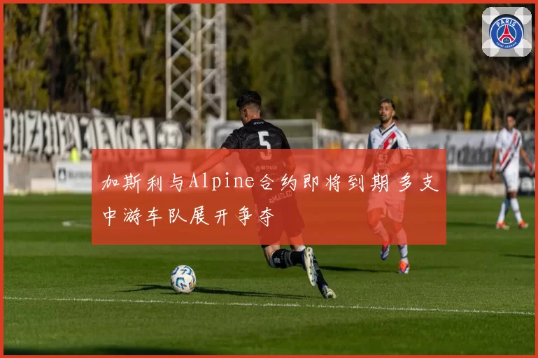 加斯利与Alpine合约即将到期 多支中游车队展开争夺